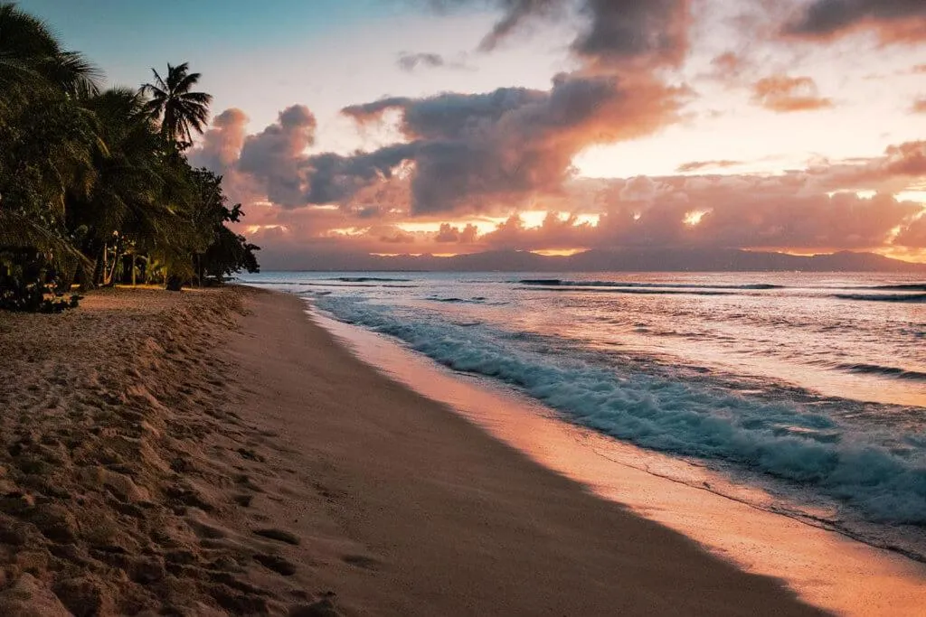 Plage de sable fin bordée de palmiers au coucher du soleil.