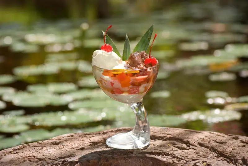 Une coupe de dessert à la crème glacée et aux fruits est présentée sur un rocher.
