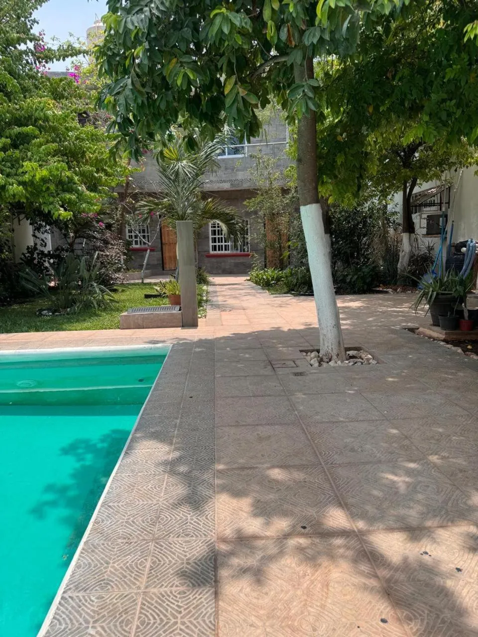 Une piscine turquoise bordée d'une terrasse carrelée mène à un jardin ombragé.