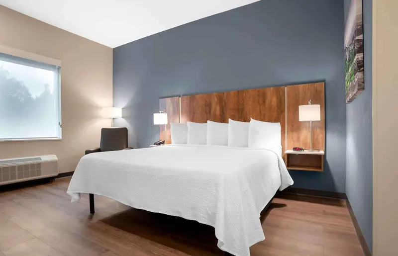 Une chambre lumineuse avec un grand lit recouvert d'une courtepointe blanche.