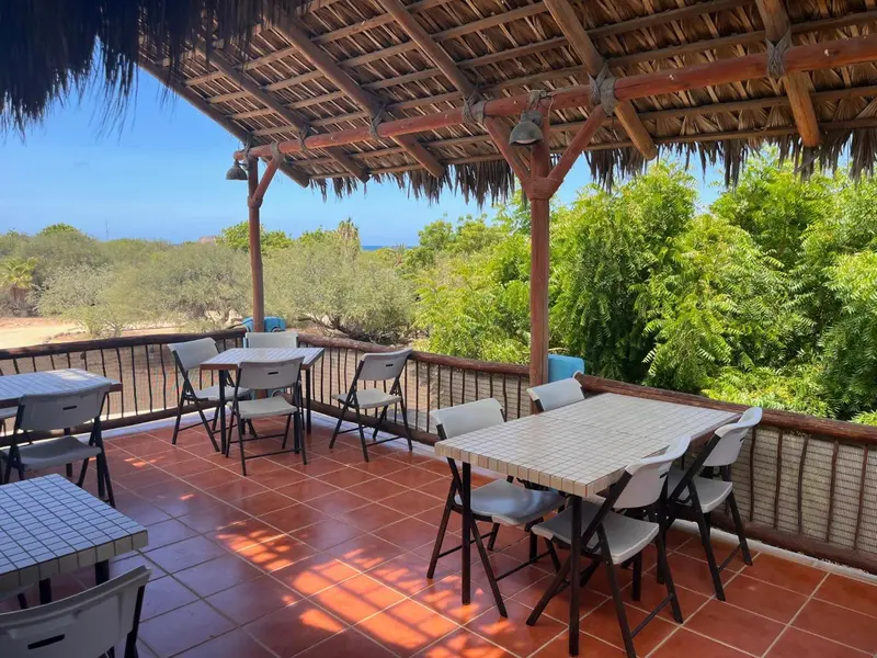 Terrasse ombragée avec tables et chaises donnant sur un paysage côtier.