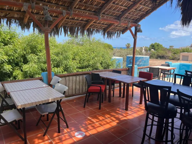 Tables et chaises disposées sous une pergola en chaume, avec vue sur la végétation et la mer.