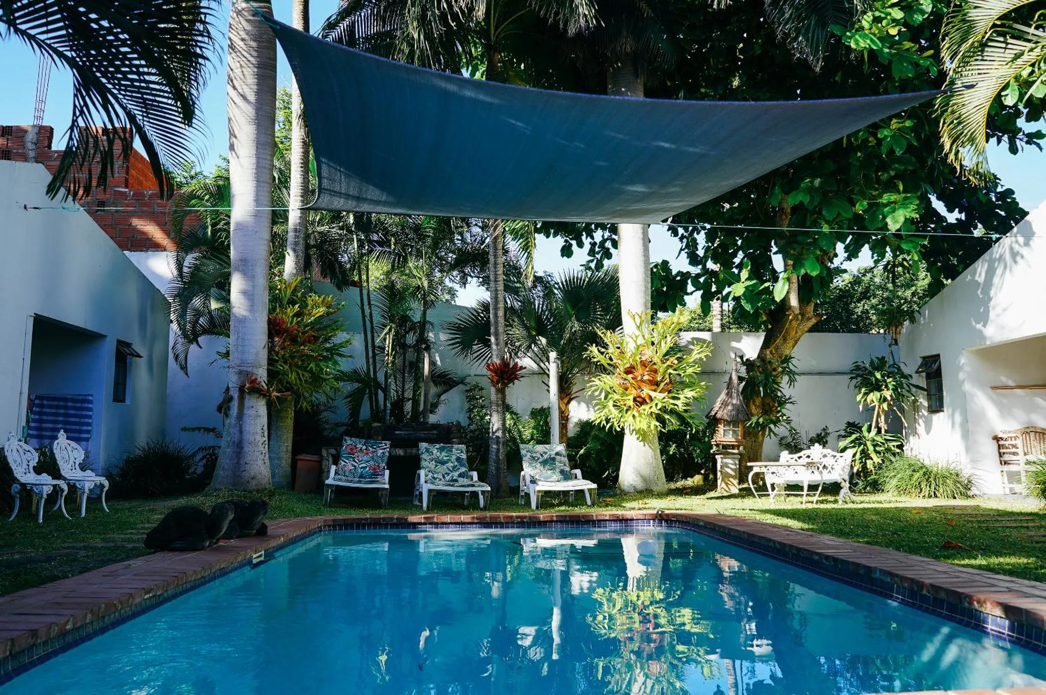 Une piscine rectangulaire bordée de chaises longues et de végétation tropicale.