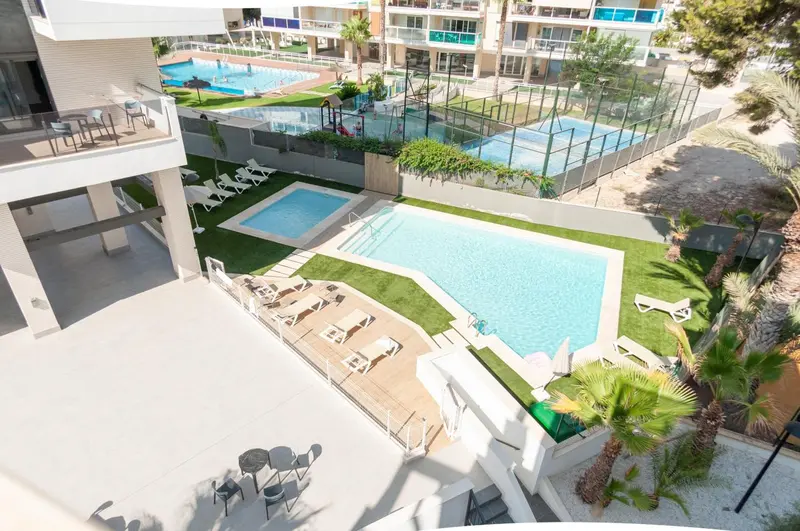 Vue aérienne sur un espace piscine avec chaises longues et végétation.