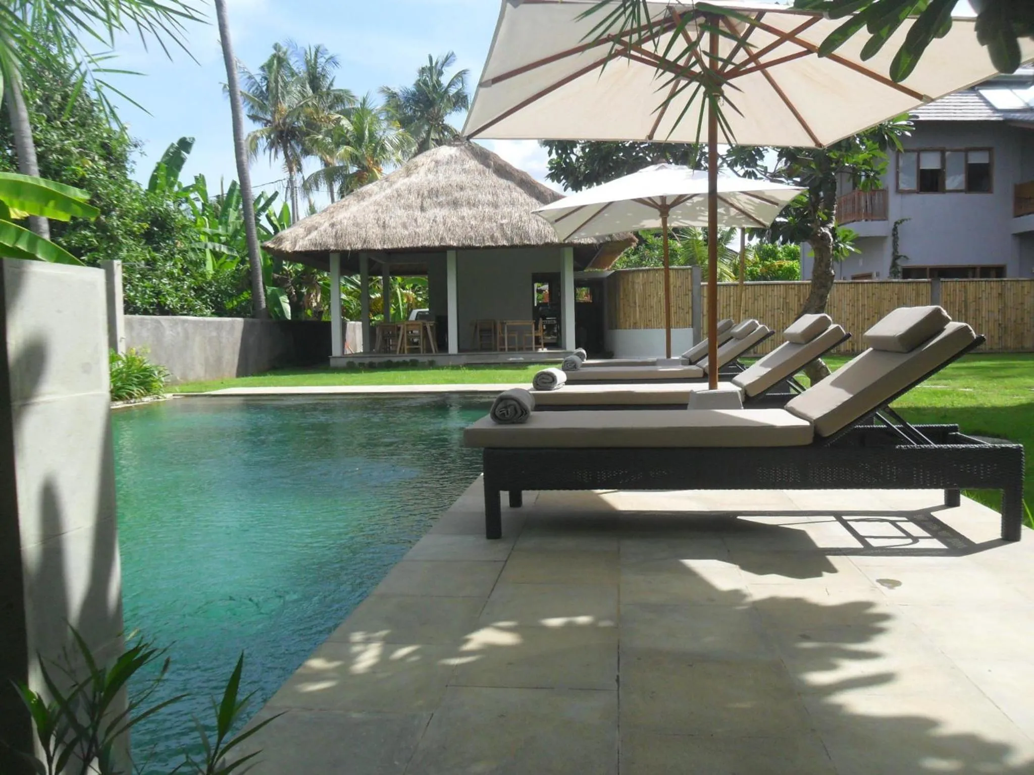 Transats et parasols bordent une piscine rectangulaire dans un jardin tropical.