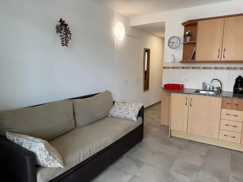 Espace de vie lumineux avec canapé et kitchenette équipée.