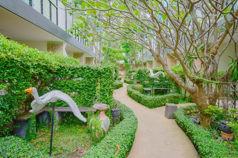 Allée sinueuse dans un jardin verdoyant bordé de végétation luxuriante.