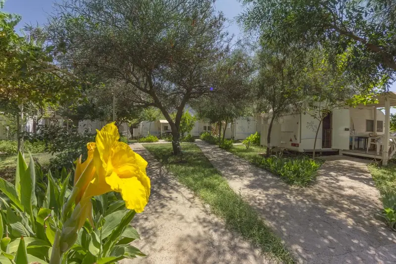 Allée bordée de végétation menant à des bâtiments bas au milieu d'un jardin.