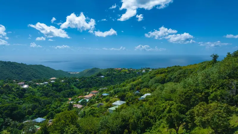 Vue aérienne d'une colline verdoyante surplombant la mer et des habitations.
