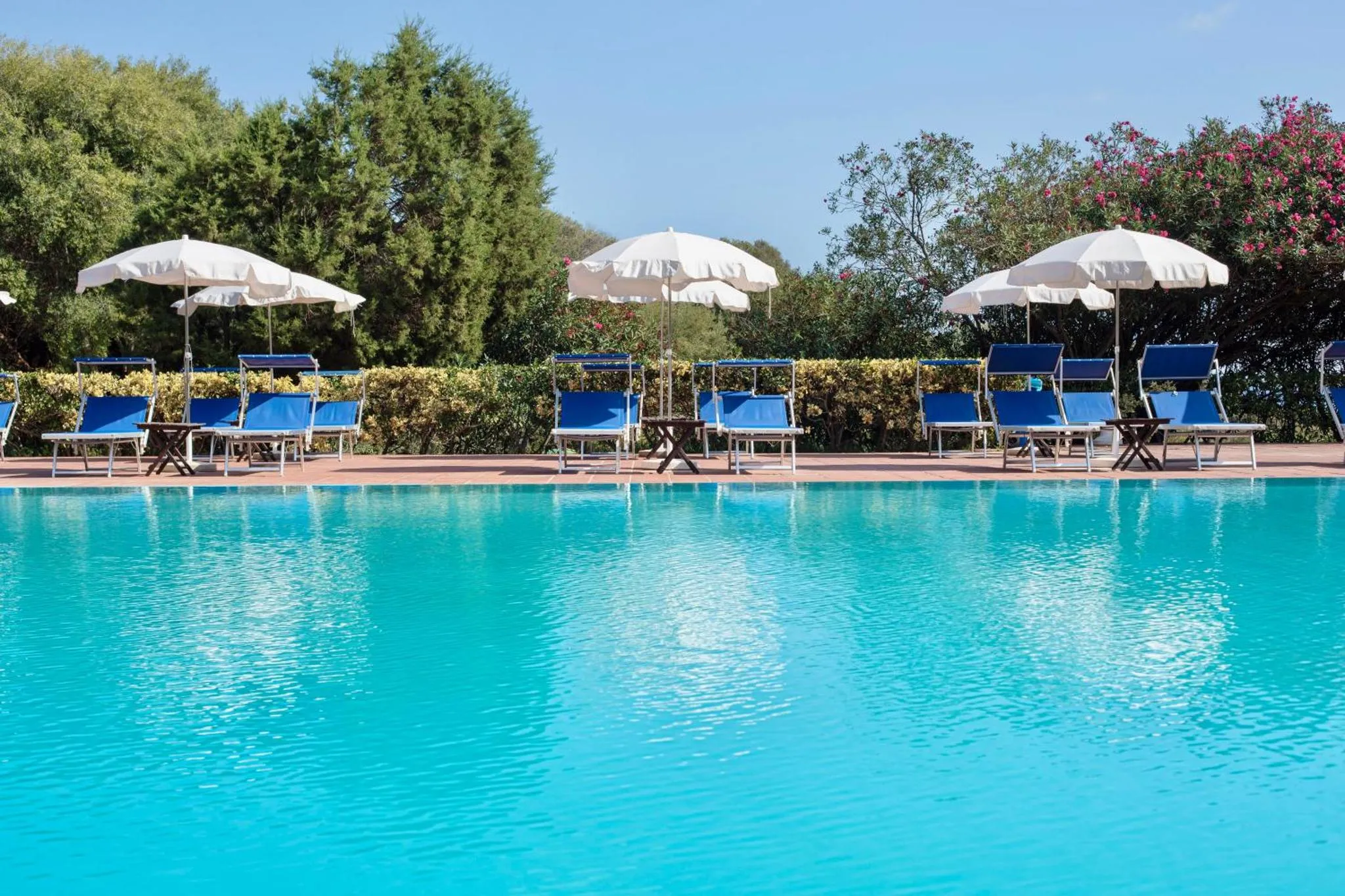 Transats bleus alignés au bord d'une piscine turquoise sous des parasols blancs.