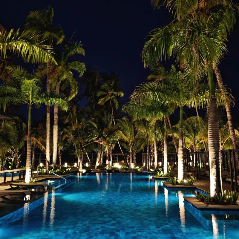 Une piscine illuminée au milieu de palmiers tropicaux la nuit.