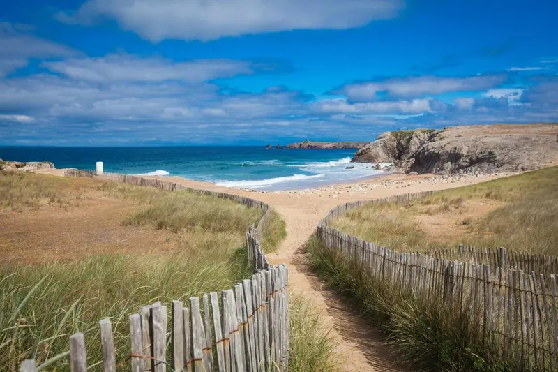 Un chemin de sable traverse une dune herbeuse vers une plage.