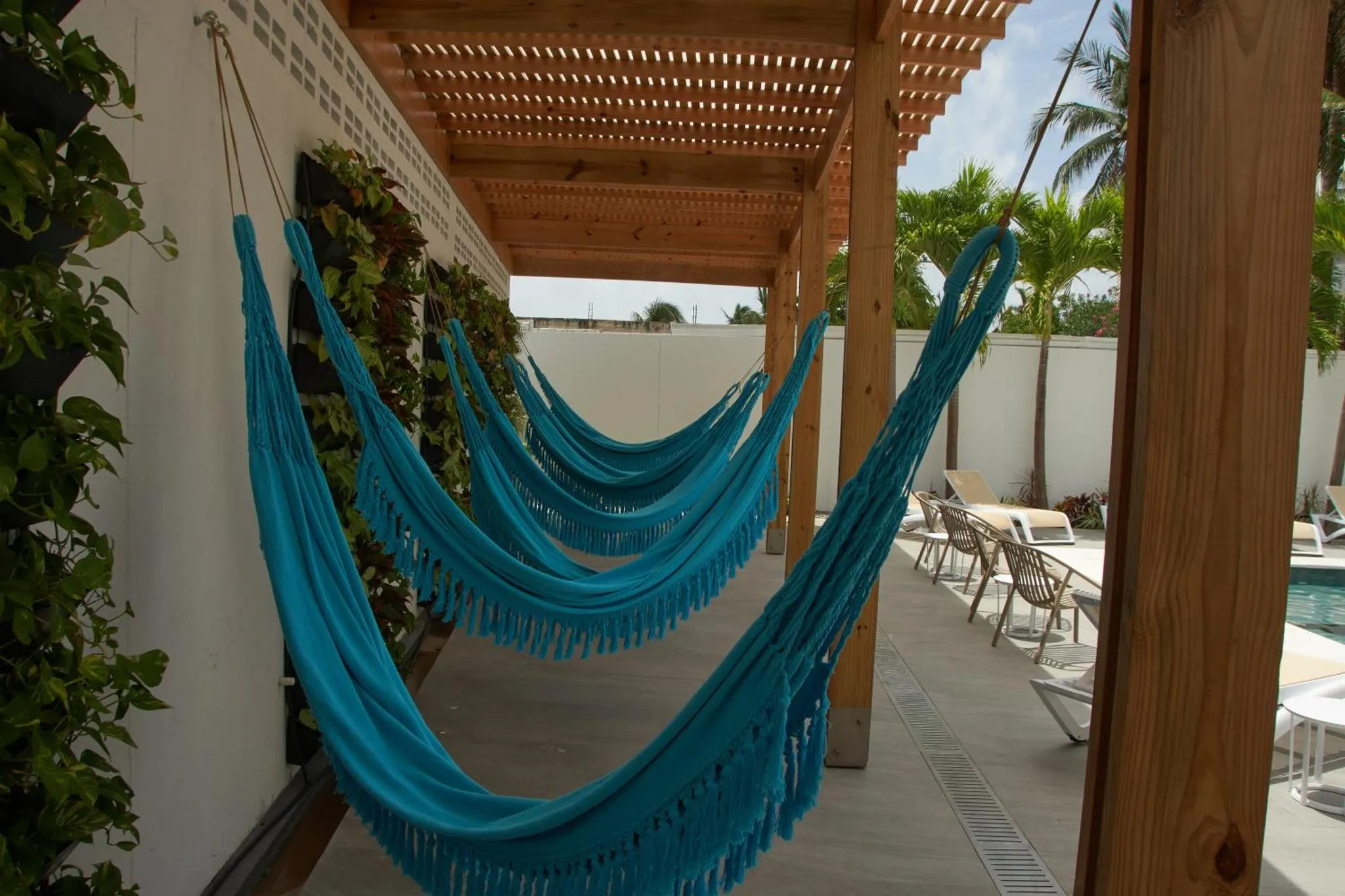 Des hamacs turquoise sont suspendus sous une pergola en bois.
