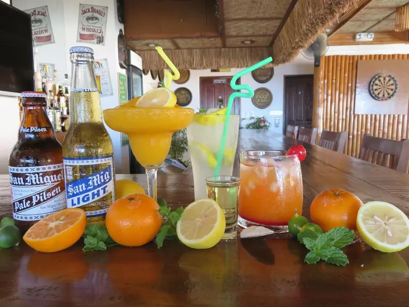 Un comptoir de bar en bois présente des boissons colorées et des fruits frais.