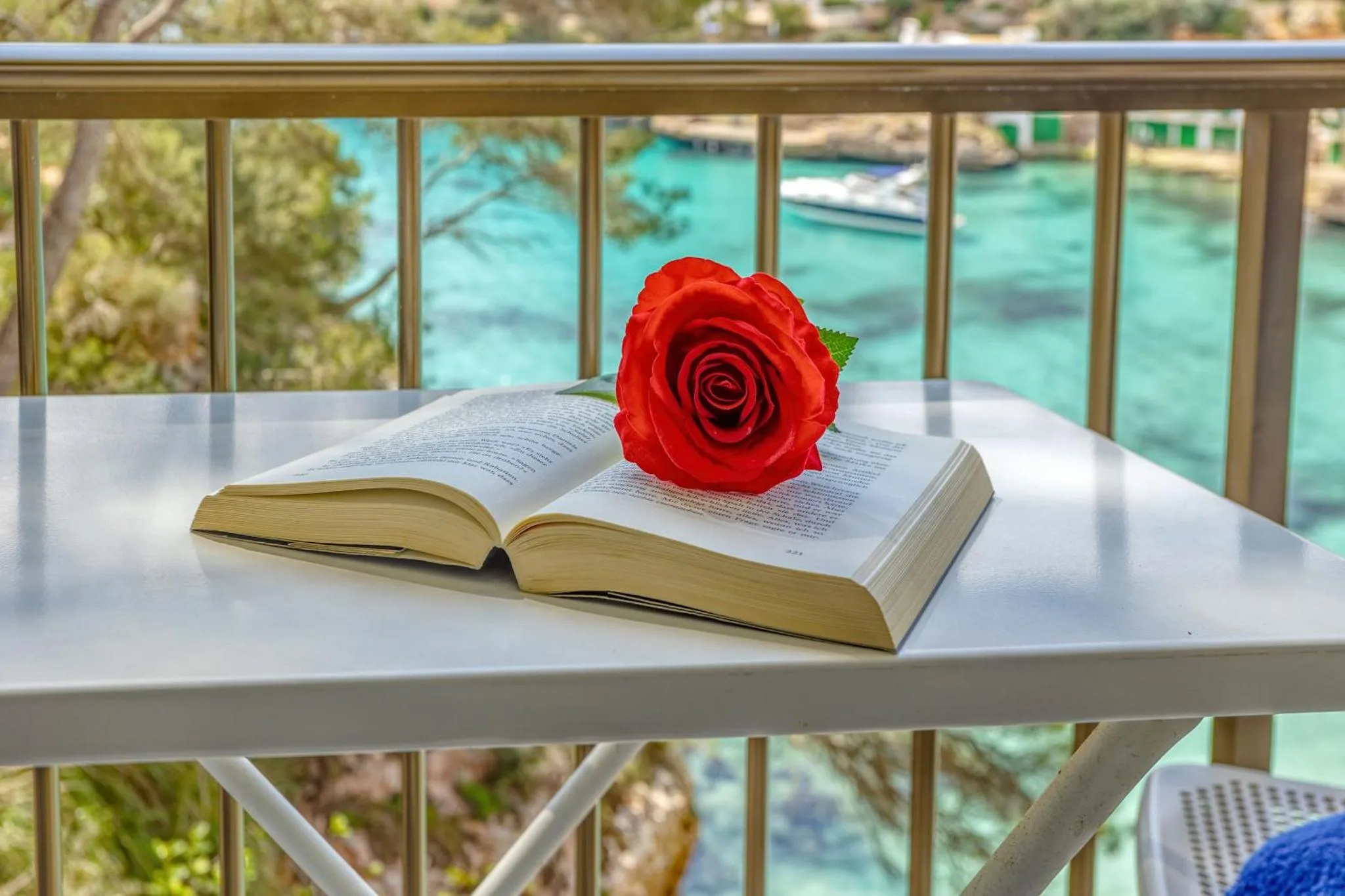 Un livre ouvert et une rose rouge reposent sur une table blanche avec vue sur la mer.
