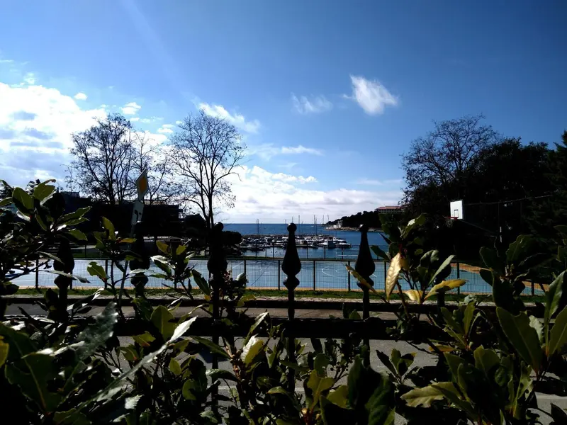 Vue sur une baie avec des bateaux amarrés et une végétation luxuriante au premier plan.