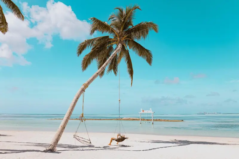 Une balancelle est accrochée à un palmier sur une plage de sable blanc.