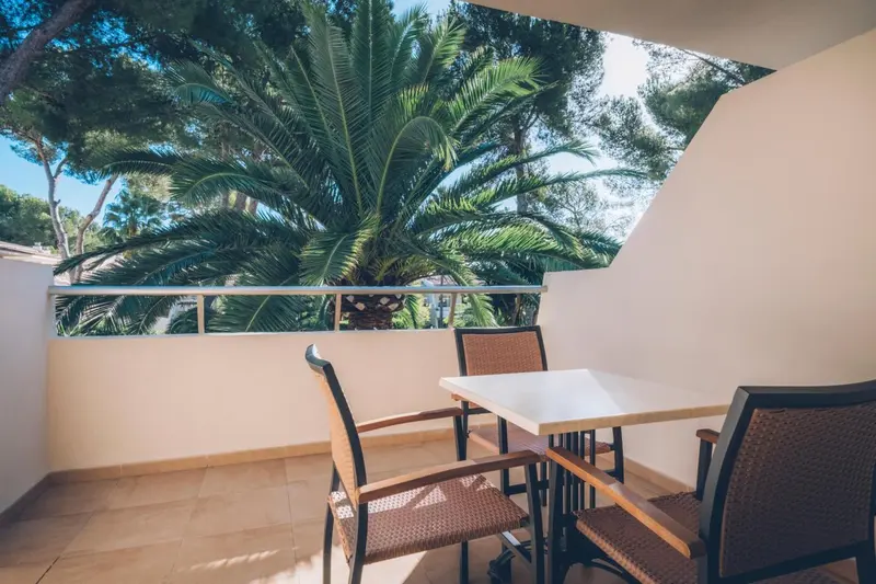 Terrasse avec table et chaises donnant sur une végétation luxuriante.