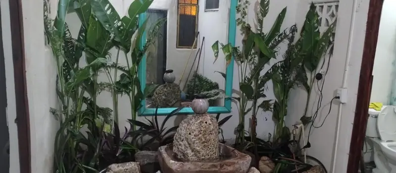 Une fontaine orne un espace végétal intérieur.