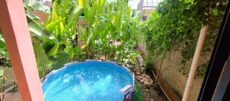 Une piscine hors sol est entourée de végétation luxuriante et de murs en pierre.