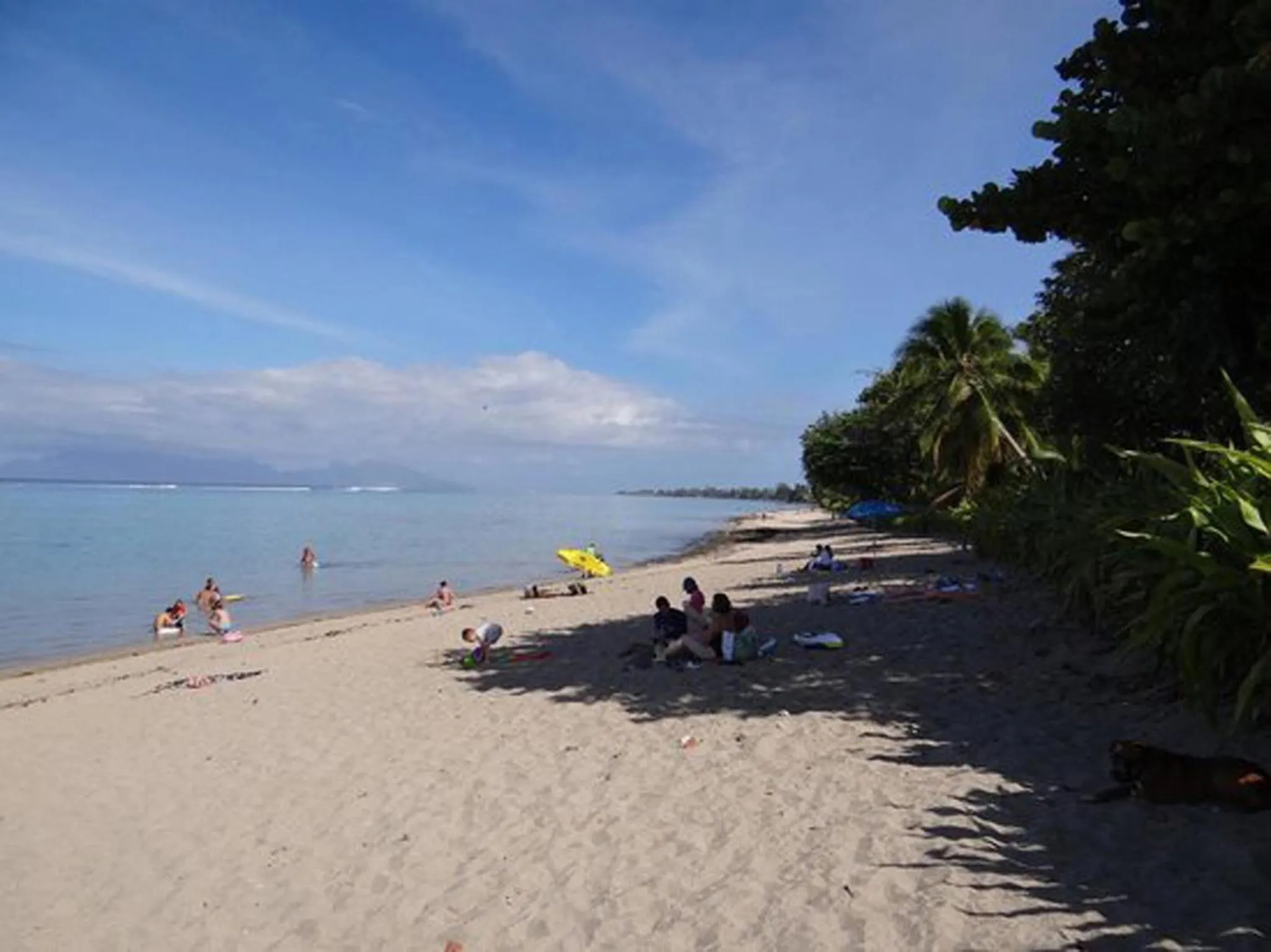 Une plage de sable clair avec des personnes se relaxant et se baignant.
