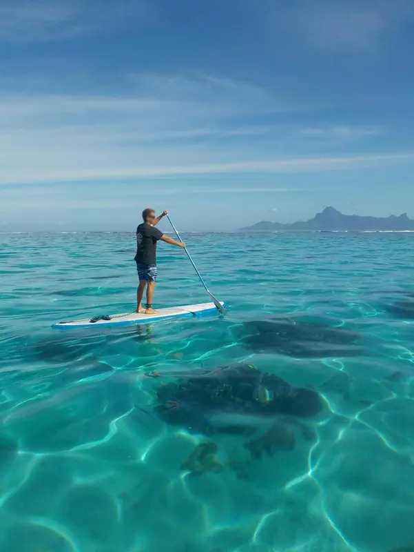 Une personne se tient debout sur une planche de paddle au milieu d'une eau turquoise et claire.