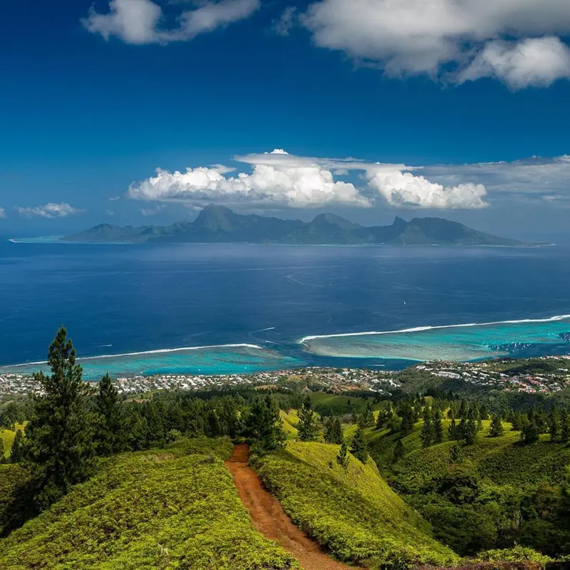 Un paysage montagneux verdoyant surplombe une côte turquoise et une ville.