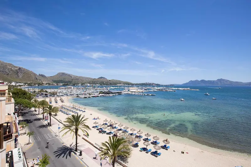 Vue aérienne d'une plage ensoleillée bordée de palmiers et d'une marina.
