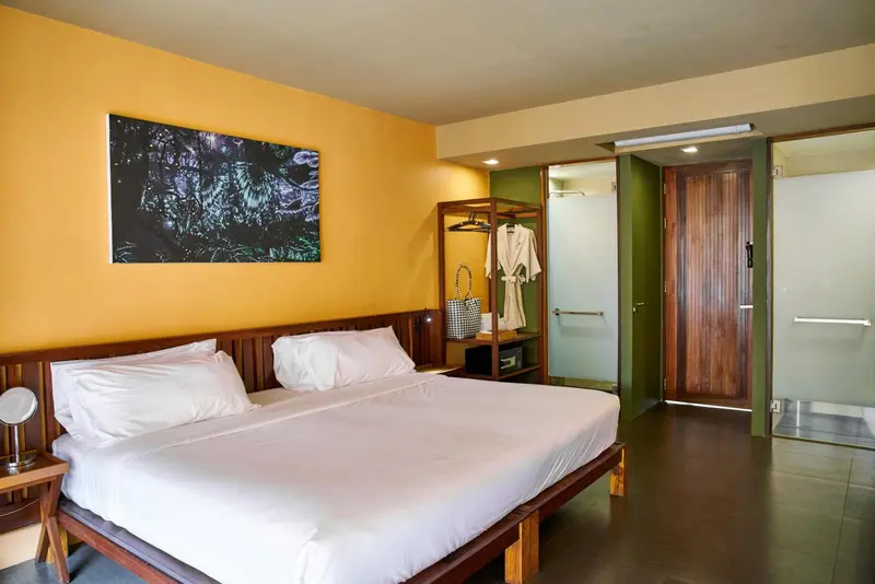 Une chambre lumineuse avec un grand lit et un mur coloré.