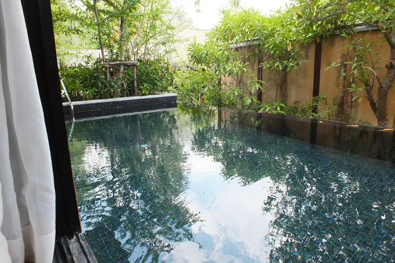 Petite piscine rectangulaire entourée de végétation luxuriante.