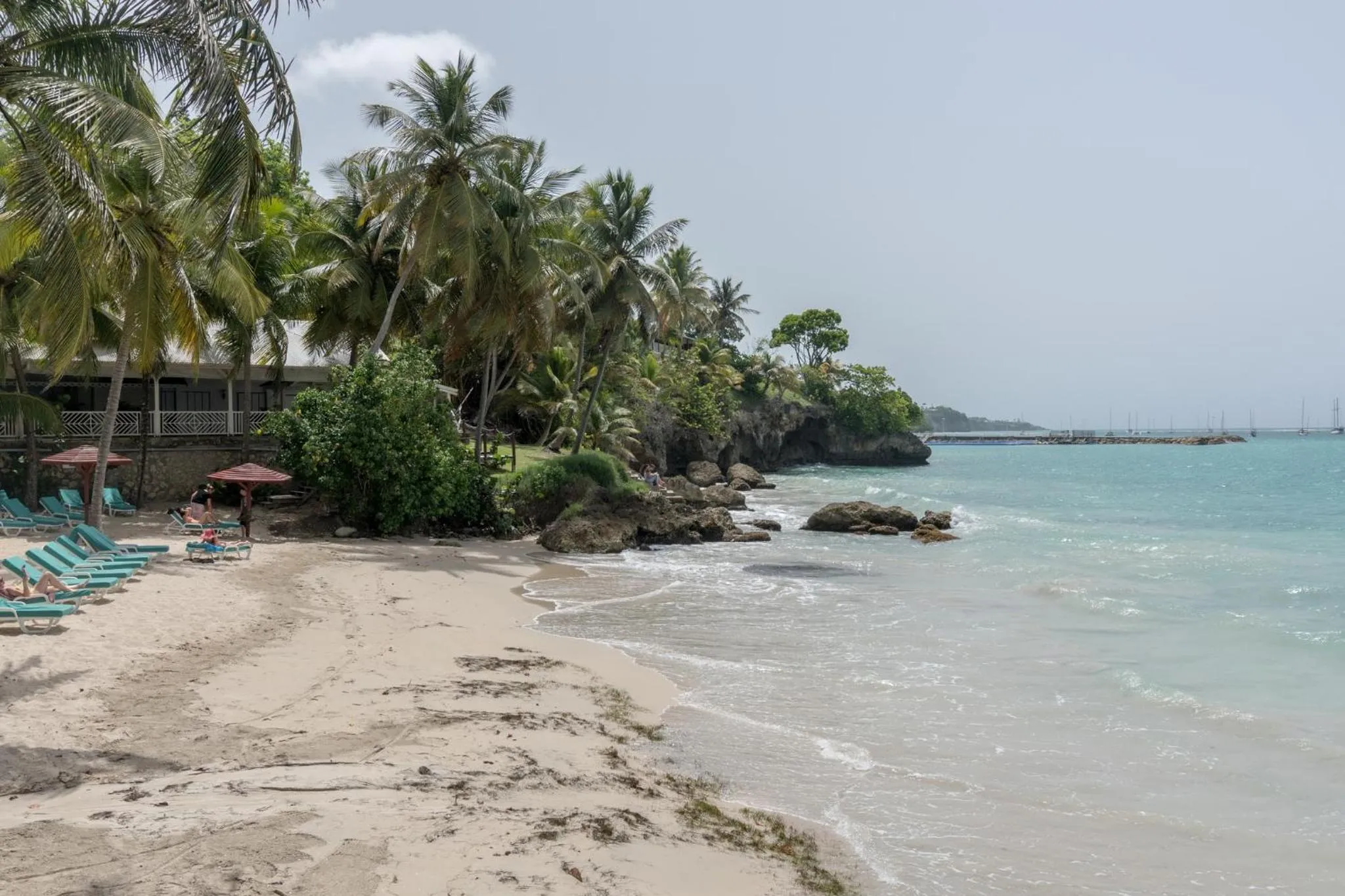 Transats alignés sur une plage de sable fin bordée de végétation tropicale et d'une mer turquoise.