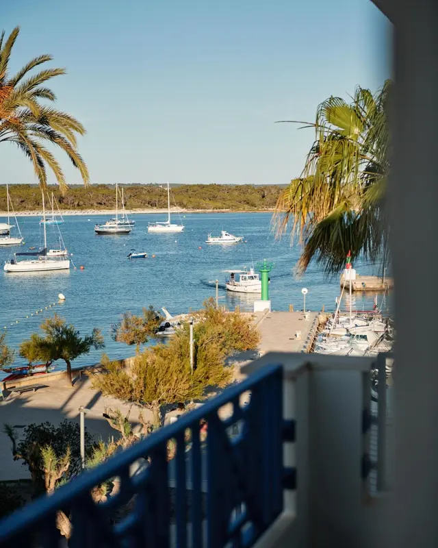 Vue sur une baie abritée avec des bateaux à quai et une végétation luxuriante.