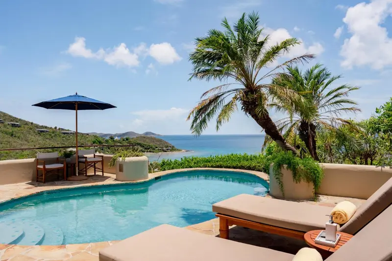Une piscine avec transats offre une vue sur la mer et la végétation luxuriante.