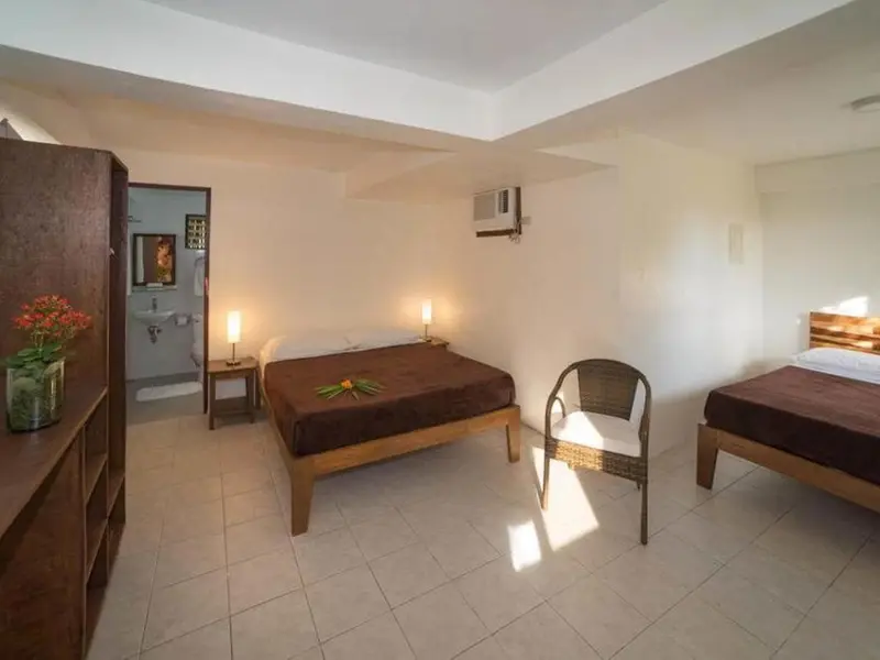 Une chambre lumineuse avec deux lits et une décoration florale.