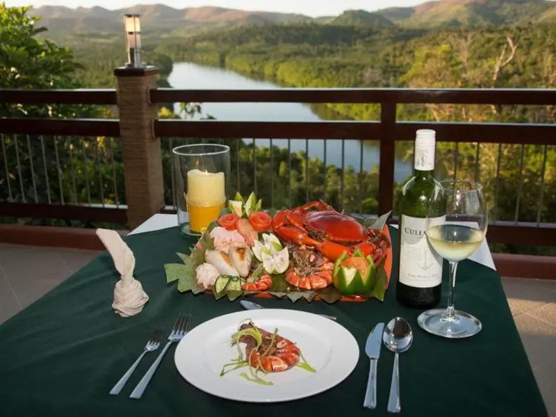 Une table dressée avec des fruits de mer et une bouteille de vin offre une vue sur un paysage verdoyant.