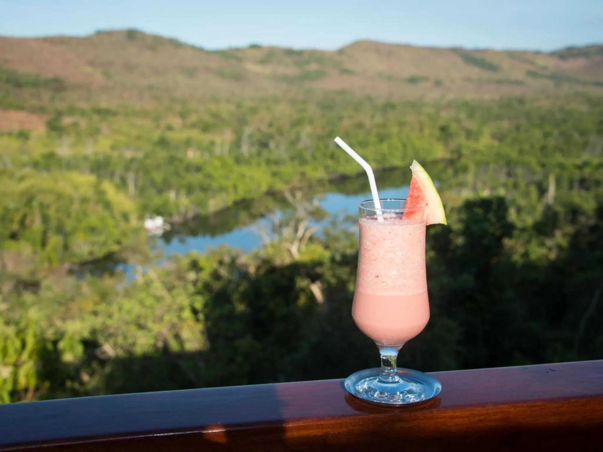 Un cocktail fruité est servi sur une terrasse avec vue sur la végétation et l'océan.
