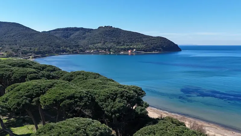 Vue aérienne d'une crique bordée de pins et de plages.