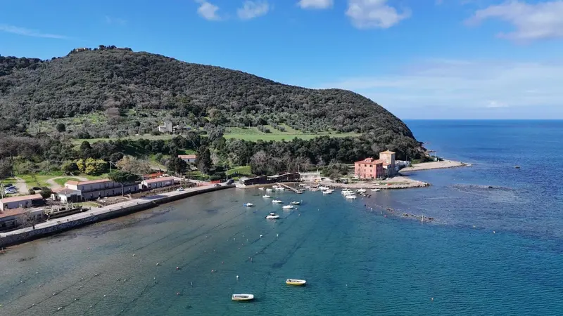 Vue aérienne d'une crique abritée avec des bateaux amarrés et une végétation luxuriante sur les collines.