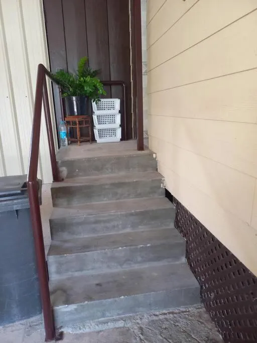 Escalier en béton menant à une porte sombre avec des plantes en pot.