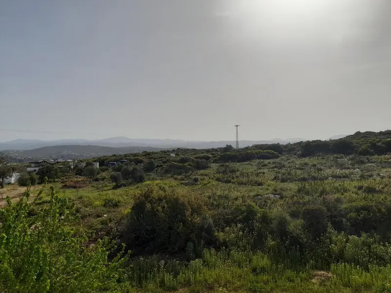 Paysage verdoyant avec végétation luxuriante et vue sur des collines lointaines.