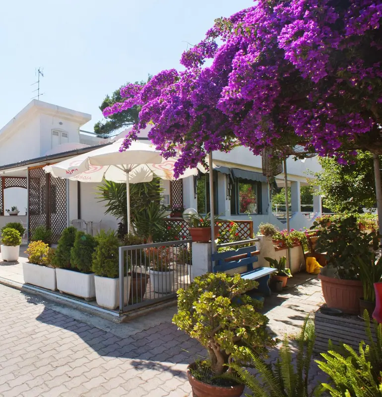 Terrasse fleurie avec mobilier de jardin et végétation luxuriante.