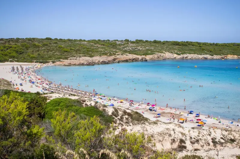 Une plage de sable blanc bordée d'une eau turquoise et entourée de végétation.