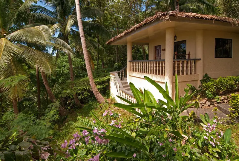 Une petite maison jaune avec une terrasse fleurie est entourée de végétation tropicale.