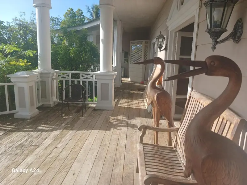 Terrasse en bois avec mobilier et végétation luxuriante.