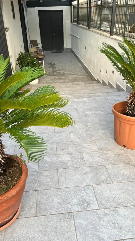 Allée pavée bordée de plantes en pots devant des portes sombres.