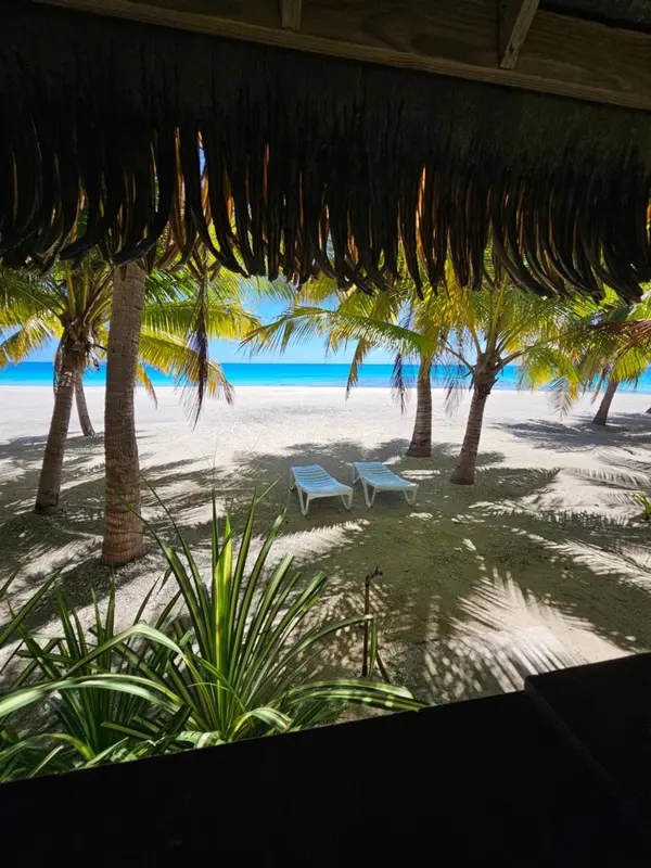 Vue sur une plage de sable blanc bordée de palmiers depuis un abri ombragé.