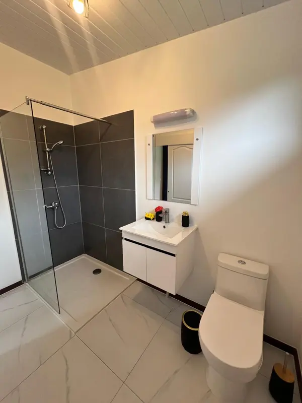Une salle de bain moderne avec douche à l'italienne et lavabo.