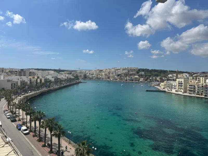 Vue aérienne d'une baie bordée de palmiers et de bâtiments.