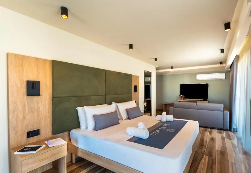 Une chambre lumineuse avec un grand lit et un canapé.