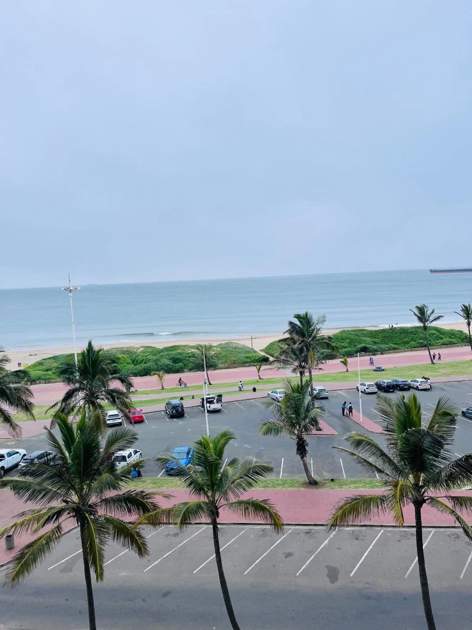 Vue d'une promenade bordée de palmiers et d'une plage.